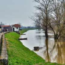 Vodostaj Save nakon dosta brzog rasta u opadanju