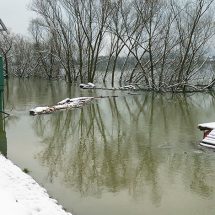 Sava se lagano smiruje