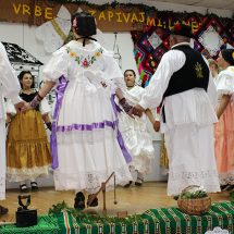 8. smotra folklora u Donjoj Vrbi