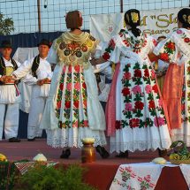 Smotra u Starom Topolju