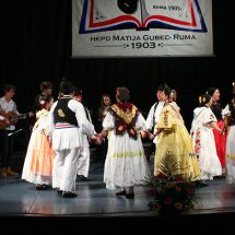 Na koncertu u Rumi