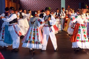 U Martinskoj Vasi na Smotri